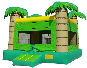 Palm Bounce House Rental Plainfield Illinois Rentals